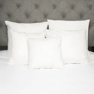 European Style Cotton Down and Feather Euro Square Pillow (Set of 2)