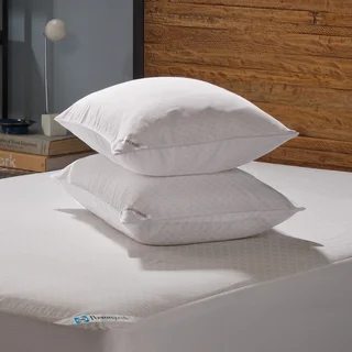 Sealy Posturepedic Allergy Microfiber Pillow Protector (Set of 2)