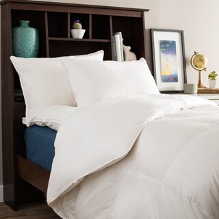 University Dorm Room Ready Twin XL Collegiate Luxury Bedding Package