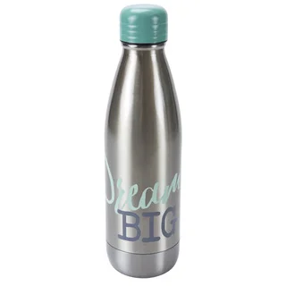 'Dream Big' Silver Stainless Steel 17-ounce Double Wall Bottle