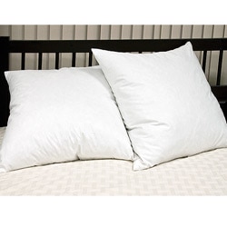 European Square 26 x 26 Inch 230 Thread Count Feather Pillows (Set of 2)