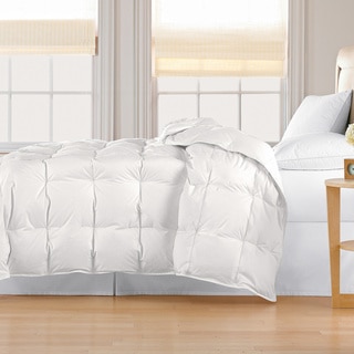 Classic 240 Thread Count Light-weight All-season White Down Comforter