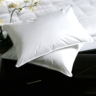White Plush Top Medium Density Goose Feather Pillows (Set of 2)