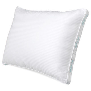 Beautyrest Pima Cotton 300 Thread Count Firm Support Pillow (Set of 2)