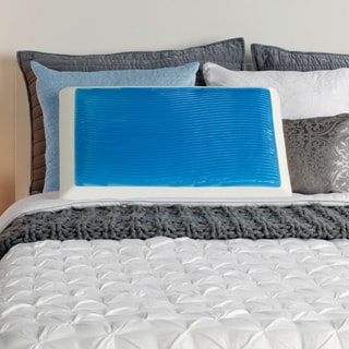 Sealy Memory Foam and Gel Bed Pillow with Mesh Cover